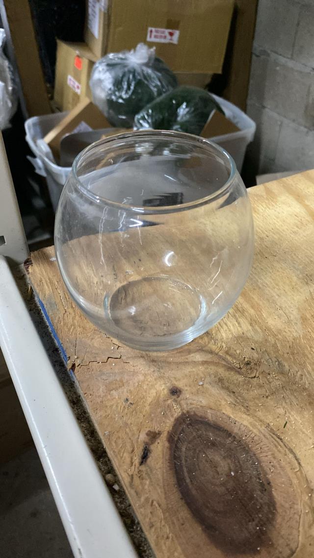 Rental store for Fish Bowl - W4 xH5 in Grand Cayman KY