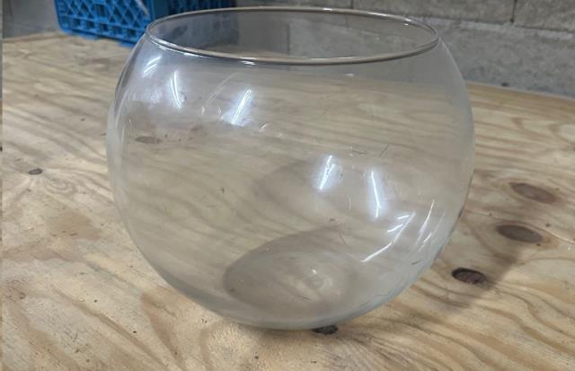 Rental store for 10  X 12  Glass Fish Bowl in Grand Cayman KY