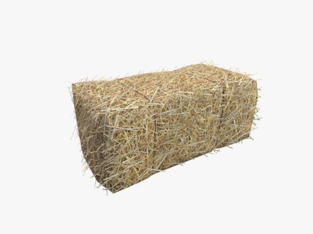 Rental store for Hay Bale in Grand Cayman KY